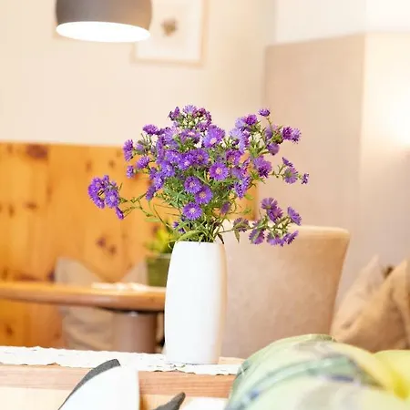 Aparthotel Intica San Candido